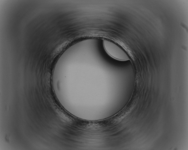 X0000093360445200710111311