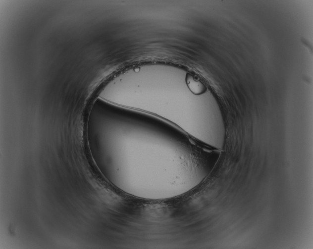 X0000093360446200710111311