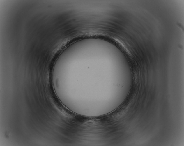 X0000093360447200710111311
