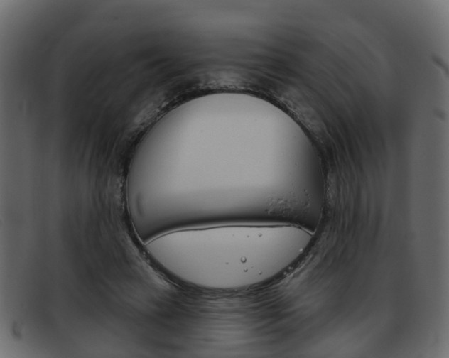 X0000093360449200710111311