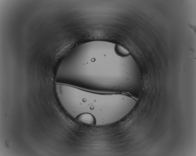 X0000093360450200710111311