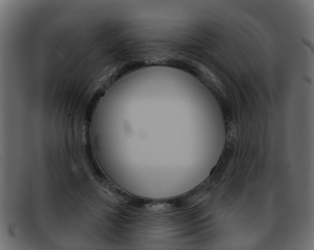 X0000093360452200710111311