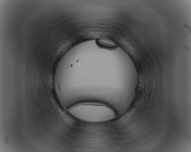 X0000093360453200710111311