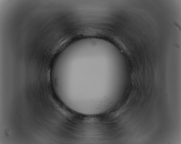X0000093360454200710111311