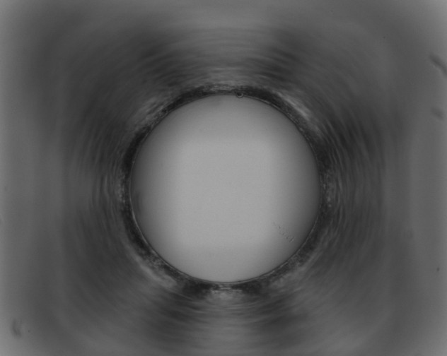 X0000093360455200710111311