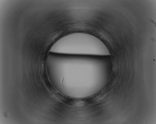 X0000093360456200710111311