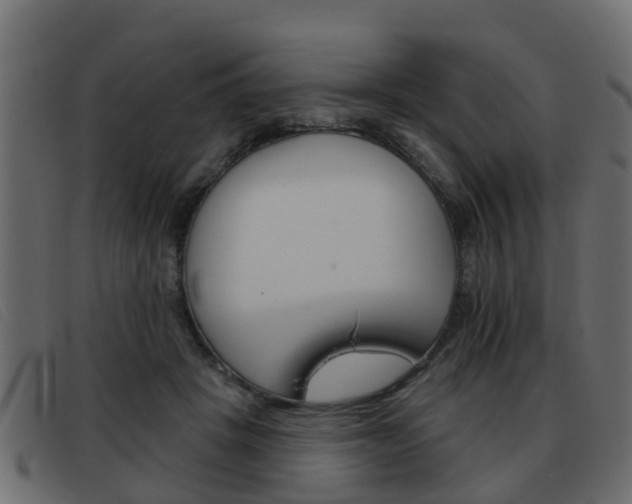 X0000093360457200710111311