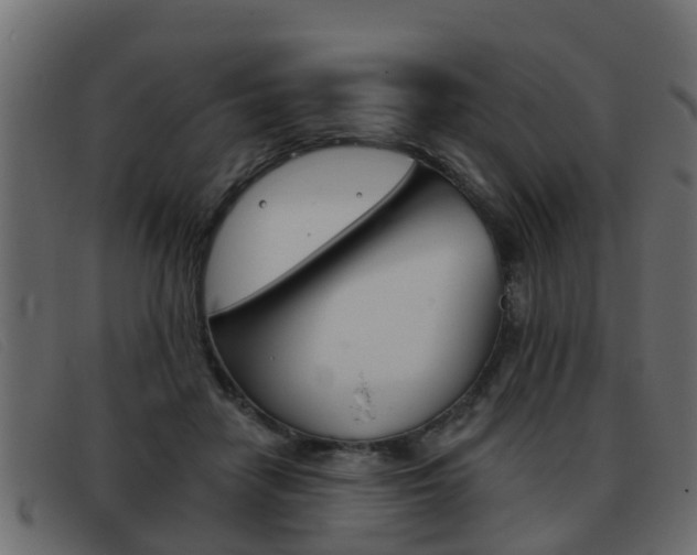 X0000093360458200710111311