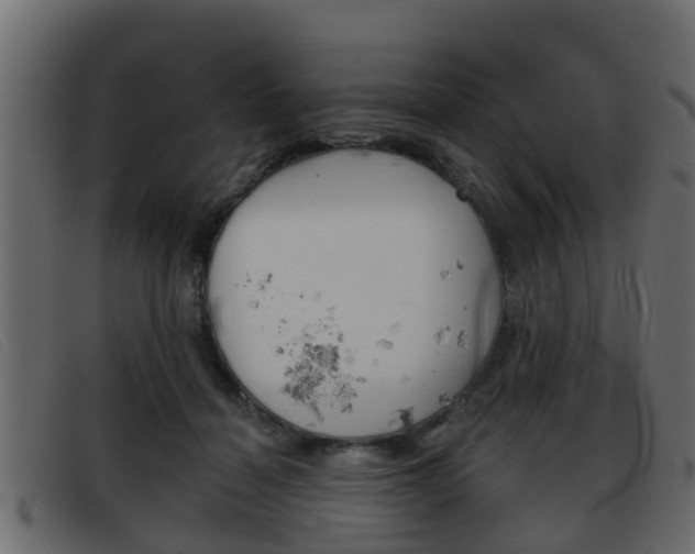 X0000093360460200710111311