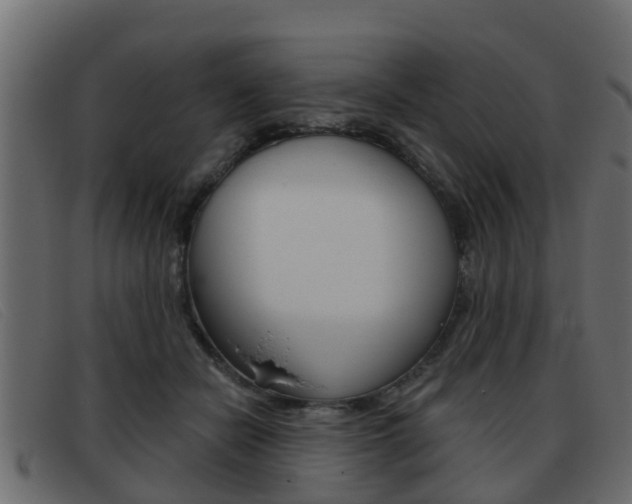 X0000093360462200710111311