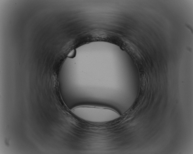 X0000093360463200710111311
