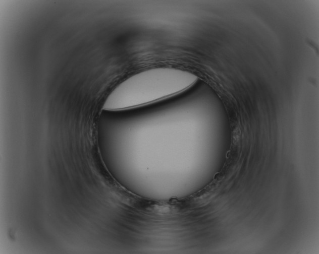 X0000093360464200710111311