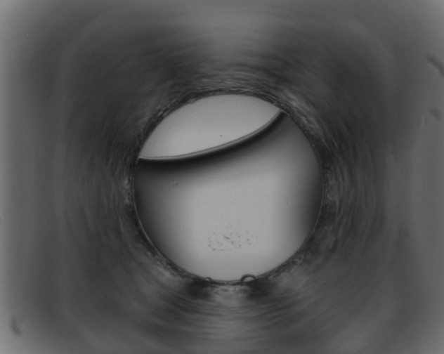 X0000093360465200710111312