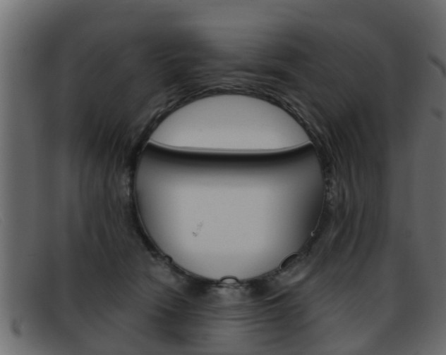 X0000093360466200710111312