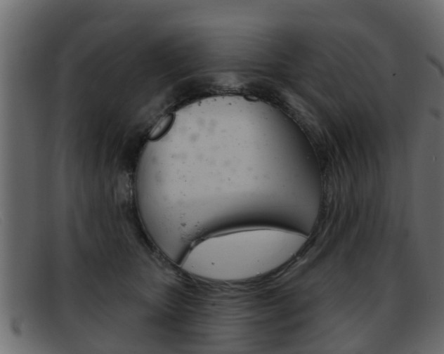 X0000093360467200710111312