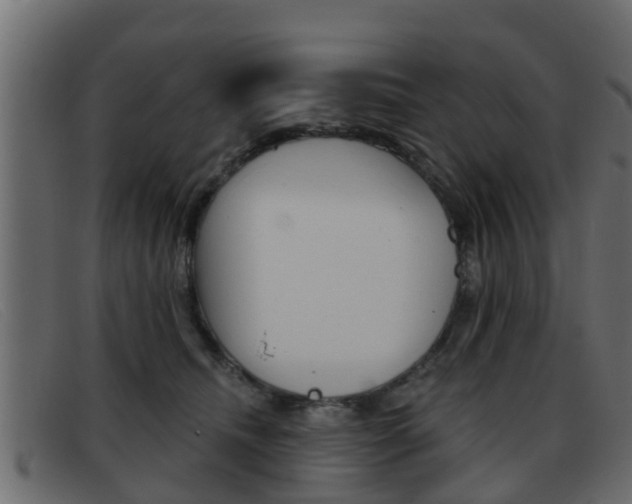 X0000093360468200710111312