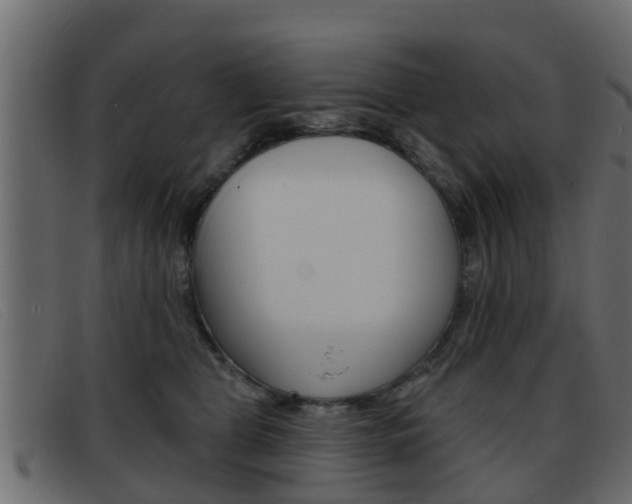 X0000093360469200710111312
