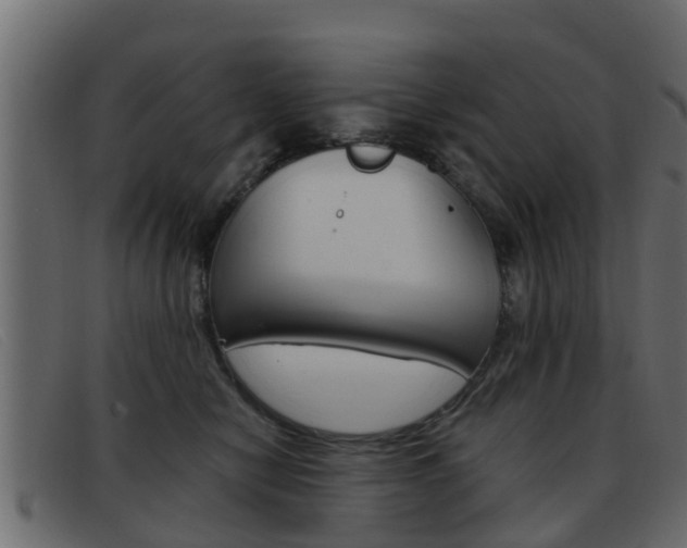 X0000093360470200710111312
