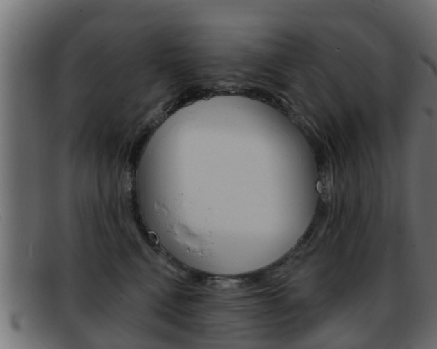 X0000093360472200710111312