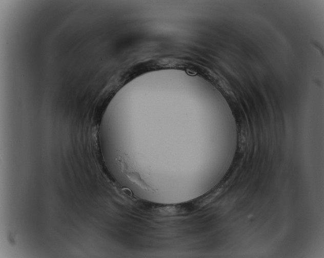 X0000093360473200710111312