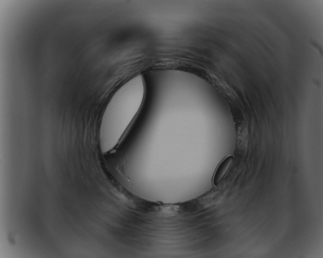 X0000093360474200710111312