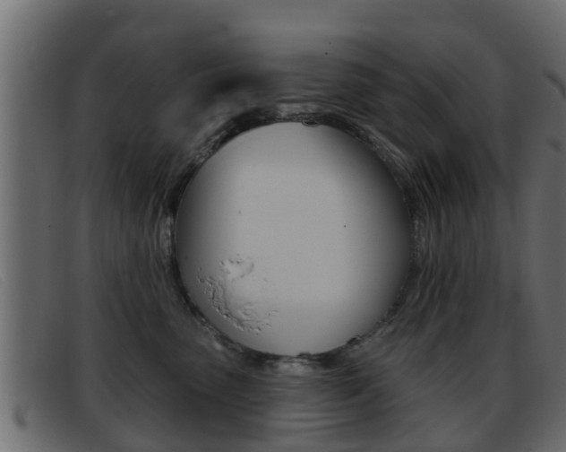 X0000093360475200710111312