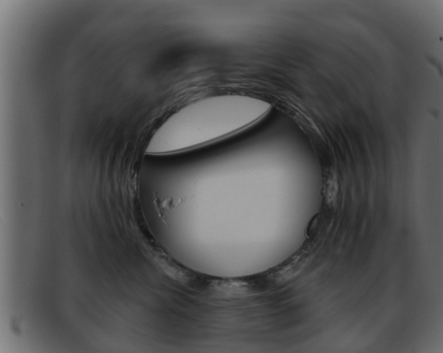 X0000093360476200710111312