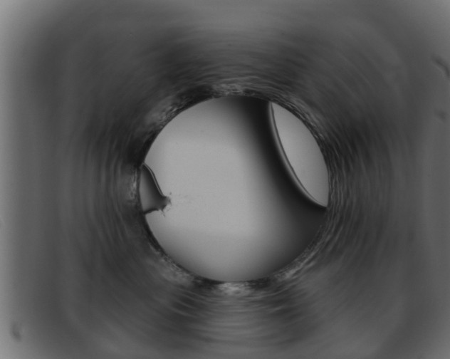 X0000093360477200710111312