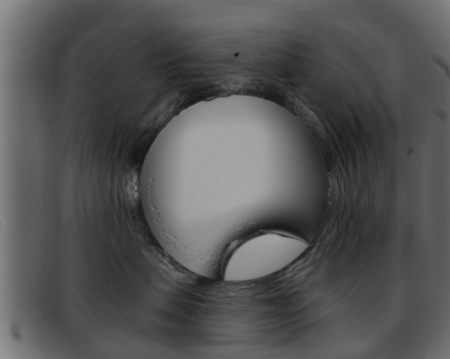 X0000093360479200710111312