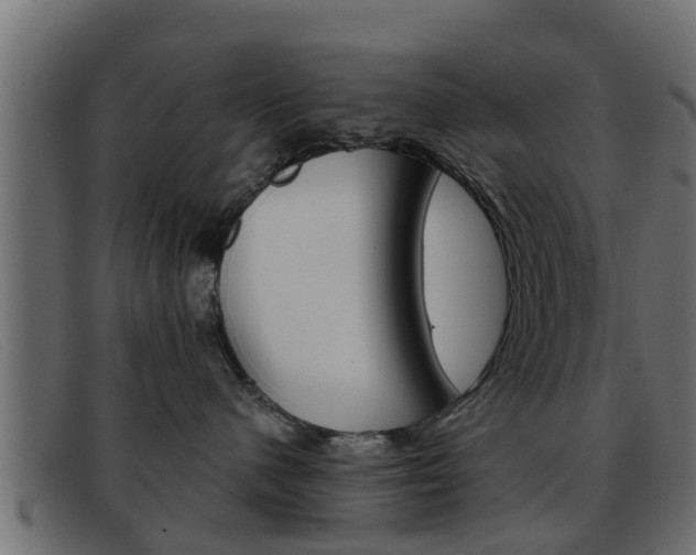 X0000093360480200710111312