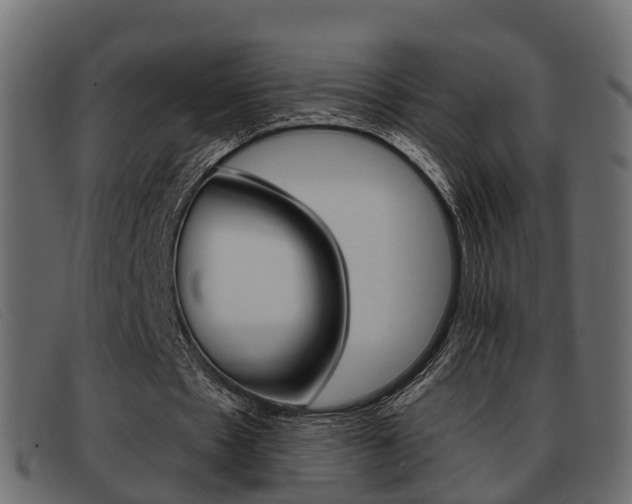 X0000093360481200710111311
