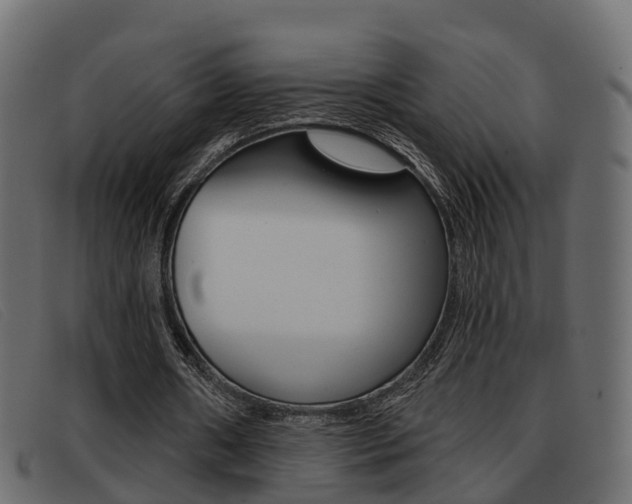 X0000093360482200710111311