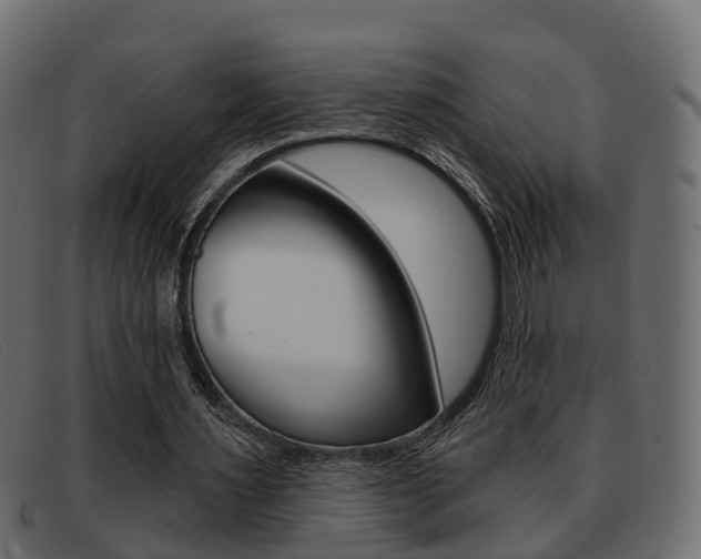 X0000093360483200710111311