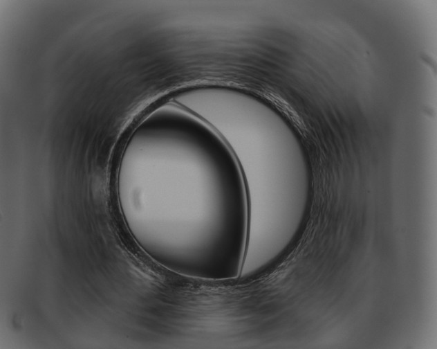 X0000093360484200710111311