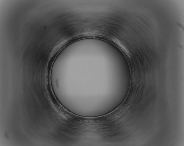 X0000093360486200710111311