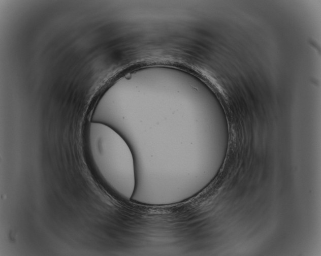 X0000093360487200710111311
