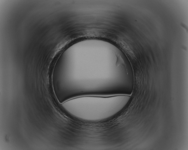X0000093360488200710111311