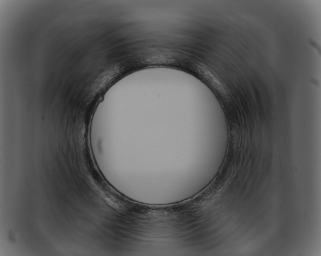 X0000093360490200710111311