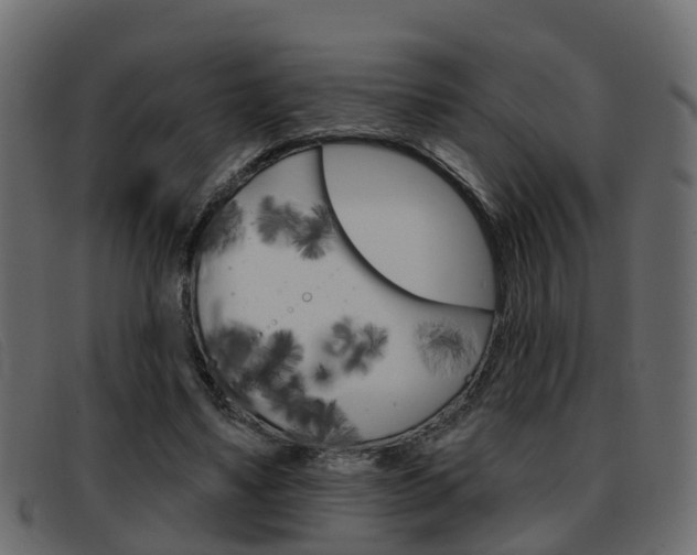 X0000093360491200710111311