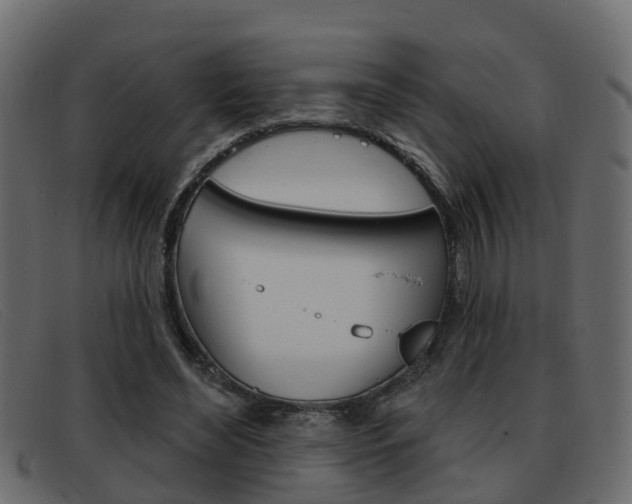 X0000093360492200710111311
