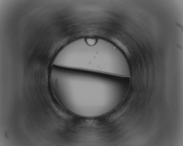 X0000093360493200710111311