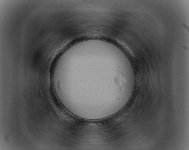 X0000093360494200710111311