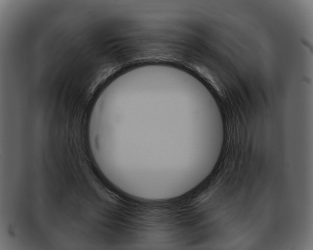 X0000093360495200710111311