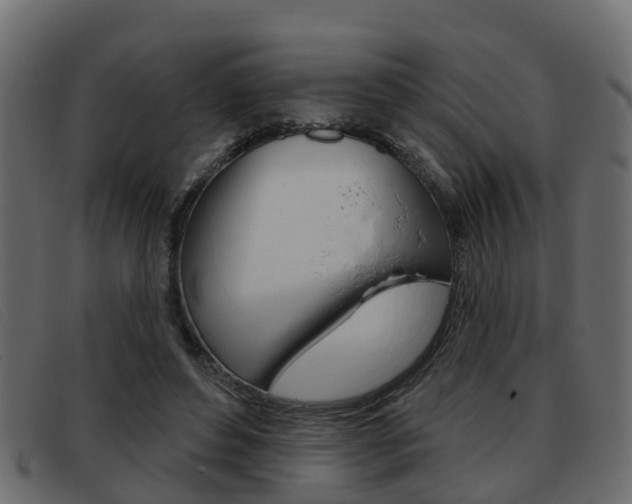 X0000093360496200710111311