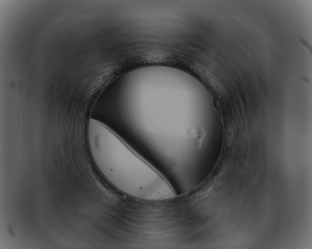 X0000093360497200710111311