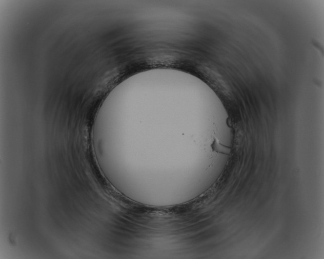 X0000093360498200710111311