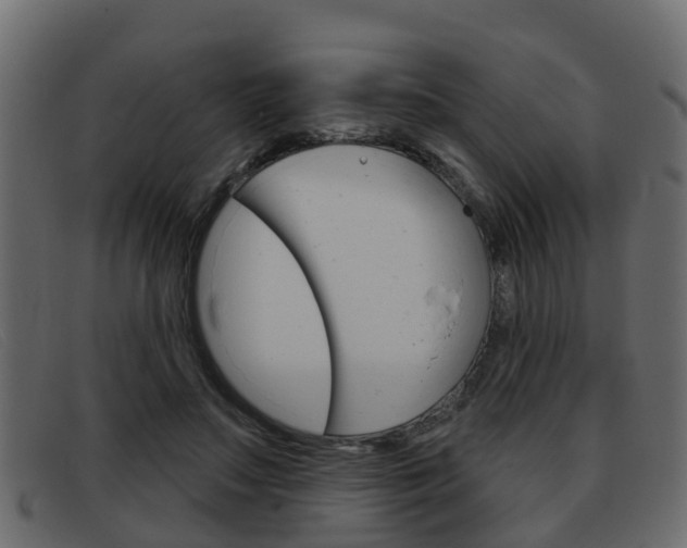 X0000093360499200710111311
