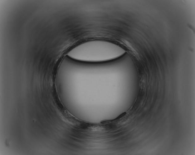 X0000093360500200710111311