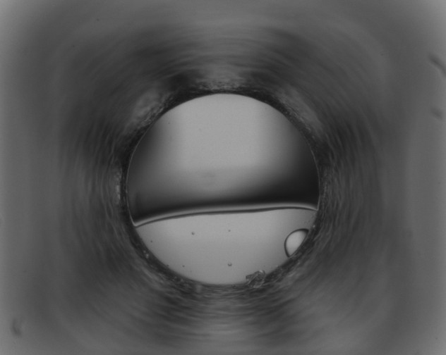X0000093360501200710111311