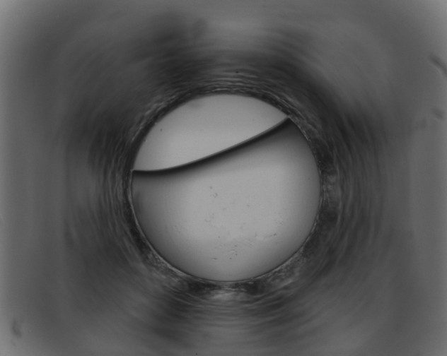 X0000093360504200710111311